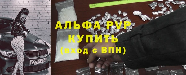стафф Богданович