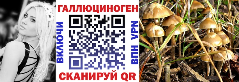 Галлюциногенные грибы прущие грибы  продажа наркотиков  Колпашево 